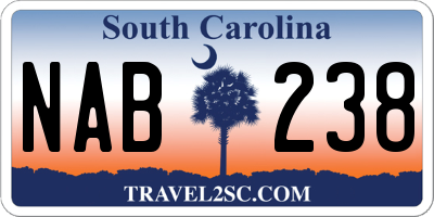 SC license plate NAB238
