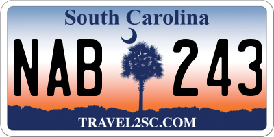 SC license plate NAB243