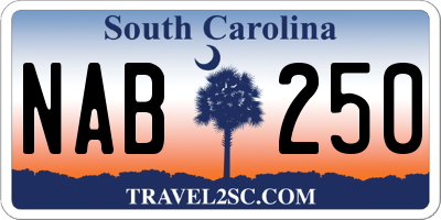 SC license plate NAB250
