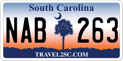 SC license plate NAB263