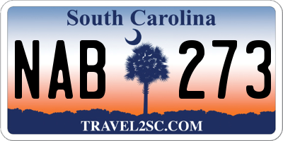 SC license plate NAB273