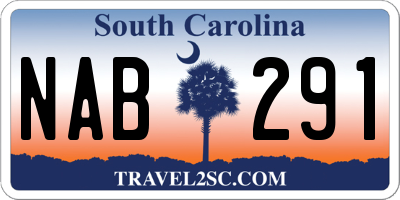 SC license plate NAB291