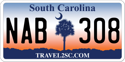 SC license plate NAB308
