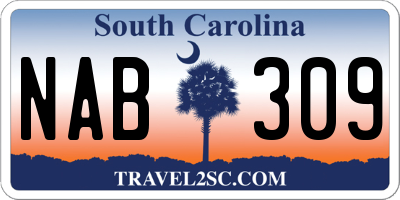 SC license plate NAB309
