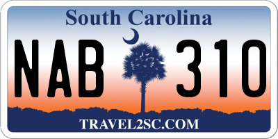 SC license plate NAB310