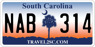 SC license plate NAB314