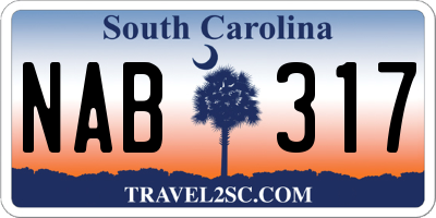 SC license plate NAB317