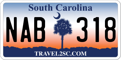 SC license plate NAB318