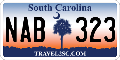 SC license plate NAB323