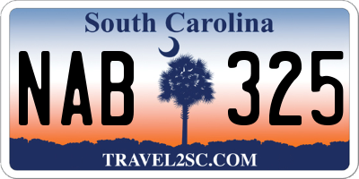 SC license plate NAB325