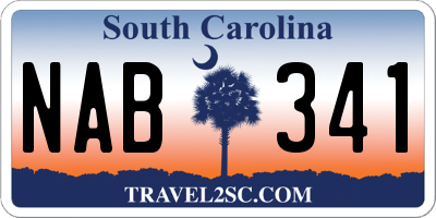 SC license plate NAB341