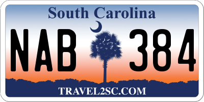 SC license plate NAB384