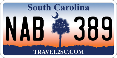 SC license plate NAB389