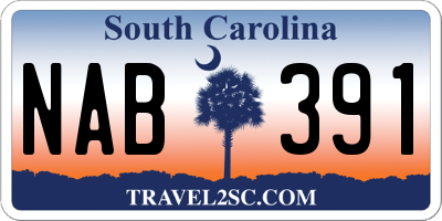 SC license plate NAB391