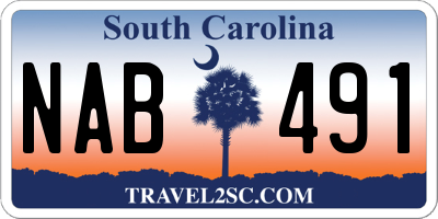 SC license plate NAB491