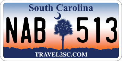 SC license plate NAB513