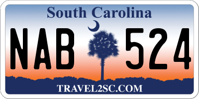 SC license plate NAB524