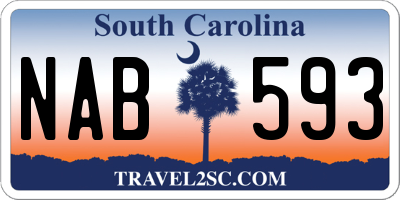 SC license plate NAB593