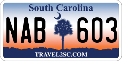 SC license plate NAB603
