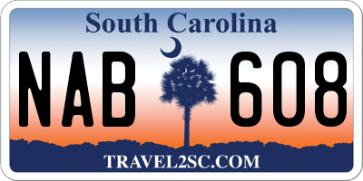 SC license plate NAB608