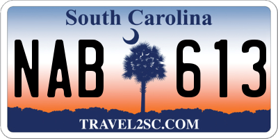 SC license plate NAB613
