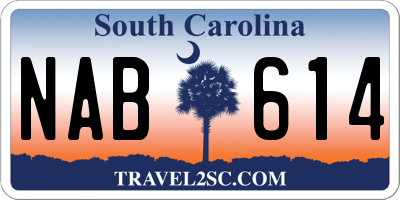 SC license plate NAB614