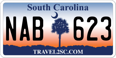 SC license plate NAB623