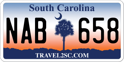 SC license plate NAB658
