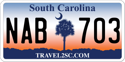 SC license plate NAB703
