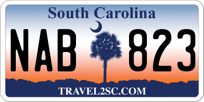 SC license plate NAB823