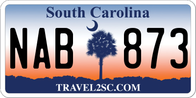 SC license plate NAB873