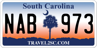 SC license plate NAB973