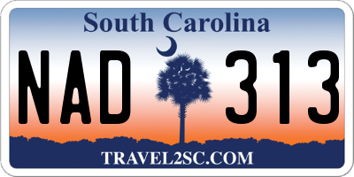SC license plate NAD313