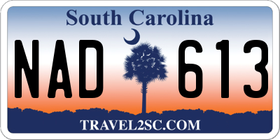 SC license plate NAD613