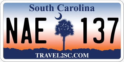 SC license plate NAE137
