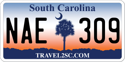 SC license plate NAE309