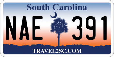 SC license plate NAE391