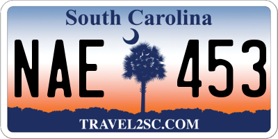 SC license plate NAE453