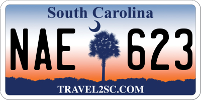SC license plate NAE623