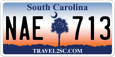 SC license plate NAE713