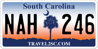 SC license plate NAH246