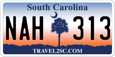 SC license plate NAH313