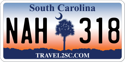 SC license plate NAH318
