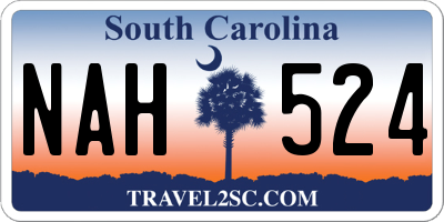 SC license plate NAH524
