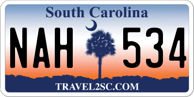 SC license plate NAH534