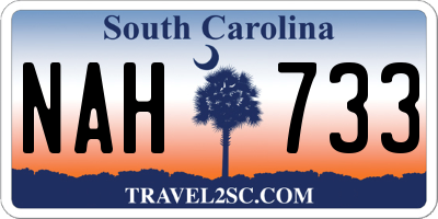 SC license plate NAH733