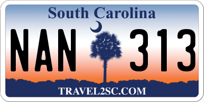 SC license plate NAN313