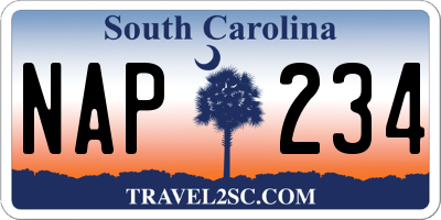 SC license plate NAP234