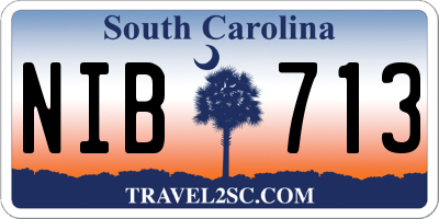 SC license plate NIB713