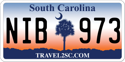 SC license plate NIB973